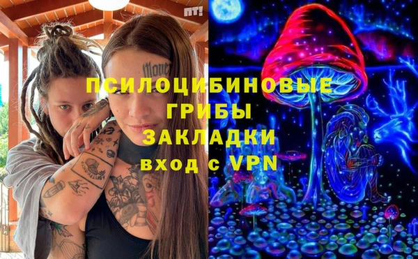 spice Алексин